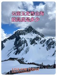 <p>玉龙雪山海拔多高？</p>
