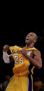 <p>科比曾经每天几点起床训练?</p>