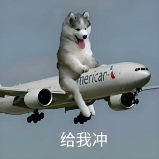 <p>请问本财年出差途中经历过最“多余”的机场是？ </p>