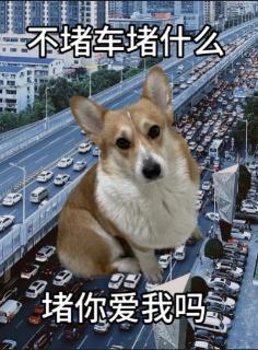 <p>2024财年的培训中，哪次下校遭遇的大堵车时间最长？ </p>