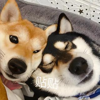 <p>请问在2024财年支援教师发展部工作次数最多的人是？</p>