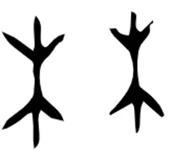 <p>图片中的会意字是_。</p>