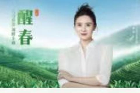 2025绿茶产品发布培训品鉴会