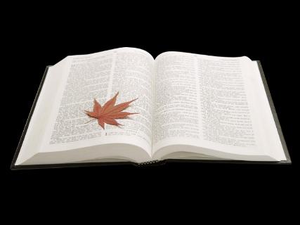 <p>这本书很（xīn-new）。</p>