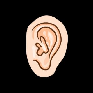 <p>我的____（ĕrduo-ear)疼。</p>