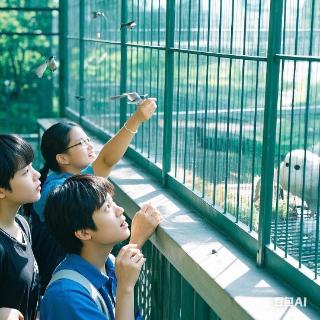 <p>供人观赏？</p>