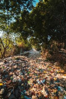 <p>What was the earliest method of waste disposal? 最古早的垃圾处理方式🗑️</p>