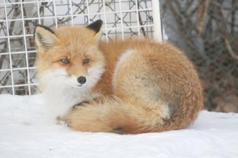 <p>下面哪句话符合图片？</p>