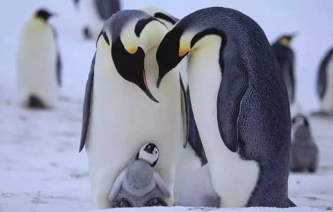 <p>下面哪句话符合图片？</p>