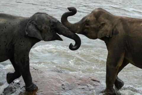 <p>下面哪句话符合图片？</p>