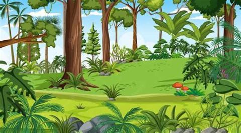 <p>看图选单词</p>