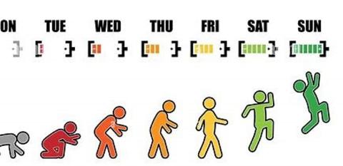 <p>看图选单词</p>