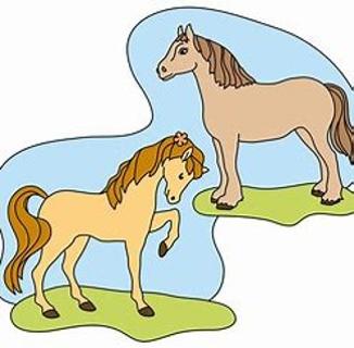 <p>看图选单词</p>