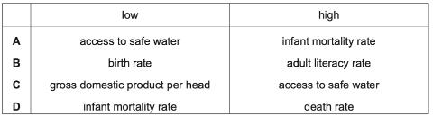 <p>What is most likely to be found in a high-income economy? </p>