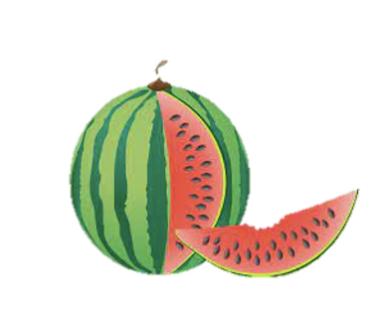 <p>Qu'est-ce que c'est？</p>