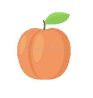 <p>Qu'est-ce que c'est？</p>