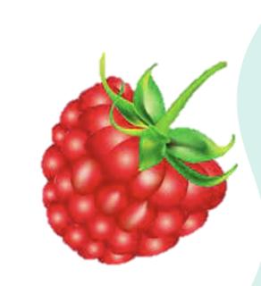 <p>Qu'est-ce que c'est？</p>