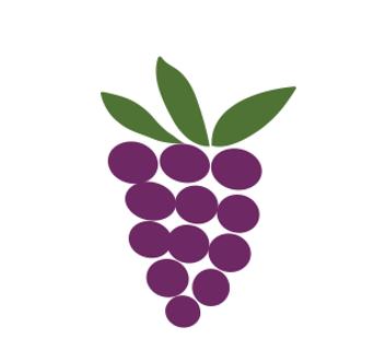 <p>Qu'est-ce que c'est？</p>