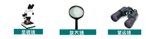 <p>病毒比细胞小得多。要获取新冠肺炎病毒的图像，你觉得科学家最有可能使用的观察工具是</p>