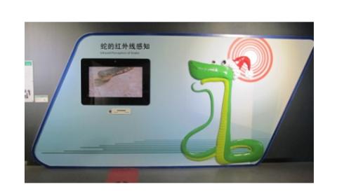 <p>大部分蛇通过以下哪种能力来感知猎物</p>