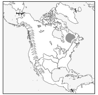 <p><strong>读北美地形分布图&#xff0c;完成下面小题。</strong><span data-tex=""> </span><span data-tex=""> </span>北美主要河流是密西西比河&#xff0c;自北向南注入墨西哥湾&#xff0c;该河流水系形状如下图中的<u>      </u>图&#xff08;    <strong> </strong>  &#xff09;。</p>