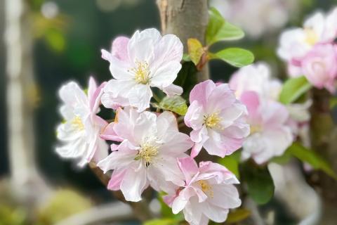 有趣的海洋动物