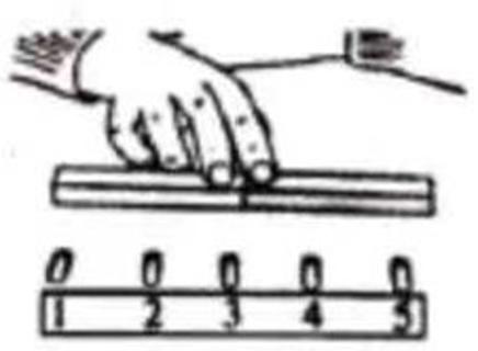 <p>文文按如图所示的方法，将磁铁慢慢靠近回形针，最先被吸过来的是</p>