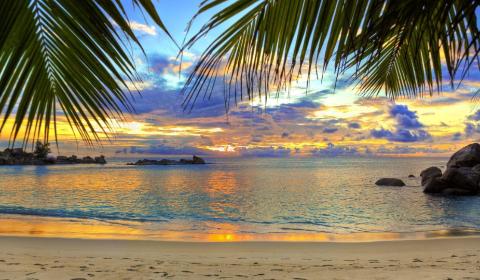 <p>What landform is this?</p>