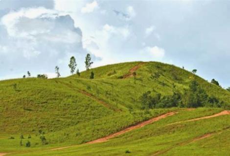 <p>What landform is this?</p>