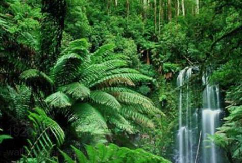 <p>What landform is this?</p>