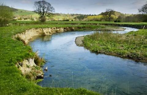 <p>What landform is this?</p>