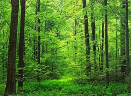 <p>What landform is this?</p>