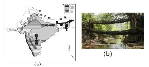 <p><strong>在印度的密林河谷，由印度榕树根搭建的树根桥已使用几百年。在高温高湿的环境下，印度榕能快速生长，其气生根结实又柔韧，可牢牢固定在陡峭的山坡上。图(a)为印度年降水量分布示意图，图(b)为树根桥示意图。据此完成下面小题。</strong><span data-tex=""> </span><span data-tex=""> </span>树根桥最有可能位于图(a)中的（       ）</p>