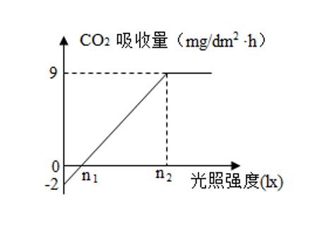 <p>如图为25℃时，某植物二氧化碳吸收量随光照强度变化情况。下列分析正确的是（    ） </p>