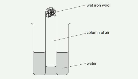 <p>State the appearance of the iron wool after one week</p>