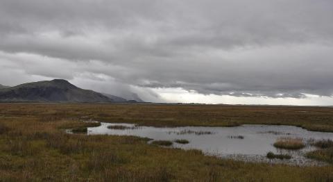 <p>You might think this would stop tourists from coming, 6. _______ , in fact, the country is still a popular destination in winter, 7. _____ of the bad weather.</p>