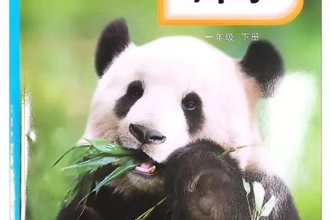 小学一年级我的科学课