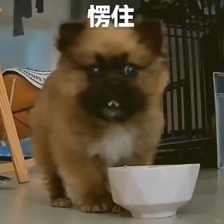 <p>网络视频营销的分类包括电视广告、网络视频广告、__________和微电影。 </p>