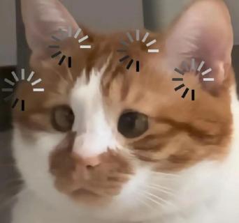 <p>全景是景别的一种。</p>