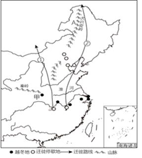 <p><strong>小天鹅是在我国越冬的鸟类之一，每年春季飞回北冰洋沿岸进行繁殖｡下图示意小天鹅在我国东部的主要越冬地和迁徙路线。完成下面小题。</strong>小天鹅的越冬地主要集中在（    ）<span data-tex=""> </span></p>