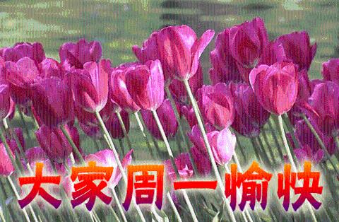 <p>根据 2025 年 5 月 12 日《日内瓦经贸会谈联合声明》，美国对华关税从最高 145% 降至 10%，但保留半导体、稀土等战略物资的 10% 基础税率。<span data-tex=""> </span></p>