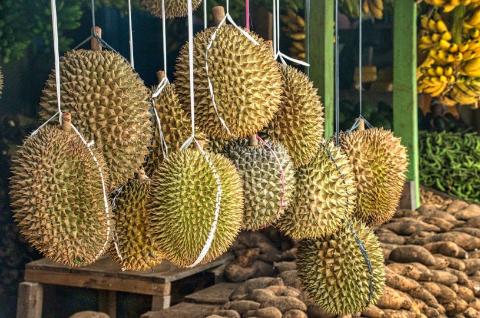 <p>His wish is to _______ all kinds of <strong>DURIANs</strong> upon arrival of Malaysia🇲🇾.</p>