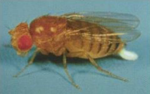 <p>这是什么？</p>