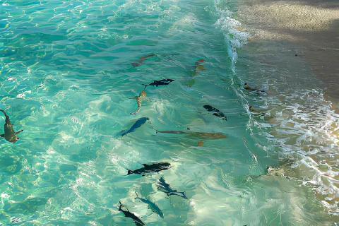 50以内加法运算