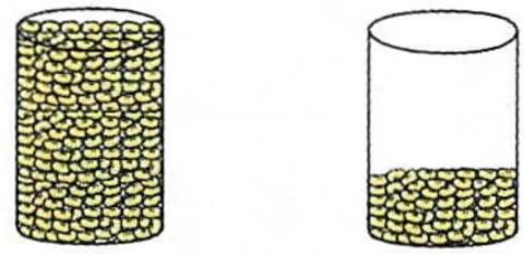 <p>第一个杯子里大约有黄豆300粒，第二个杯子里大约有黄豆（    ）粒。<span data-tex=""> </span></p>