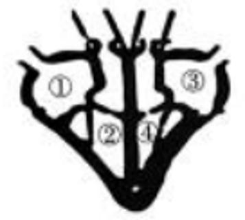 <p>1、吸烟时，香烟中的尼古丁大部分从肺部进入血液，有研究显示这部分尼古丁到达大脑只需要 秒，危害人体健康。通过该途径进入人体的尼古丁最先到达的心腔是（　　）<span data-tex=""> </span></p>