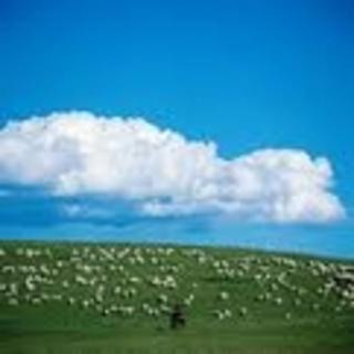 <p>图片中展示的生态系统是（  ）</p>