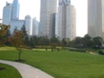 <p>图中展示的生态系统属于（ ）</p>