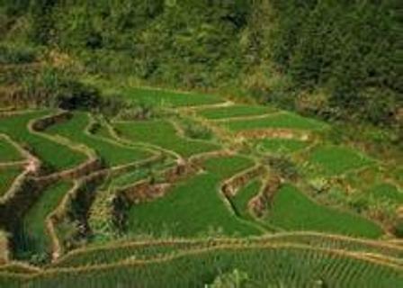 <p>以下生态系统中，主要通过人类活动进行作物种植生产，且具有如图所示景观特征的是（ ）</p>