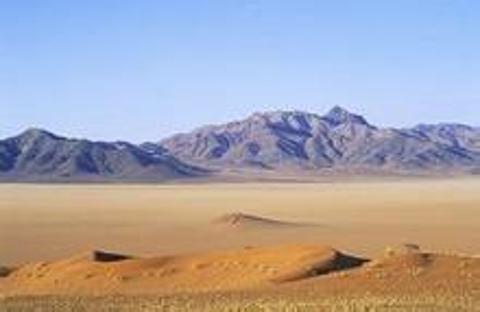 <p>图中展示的生态系统最可能是（ ）</p>